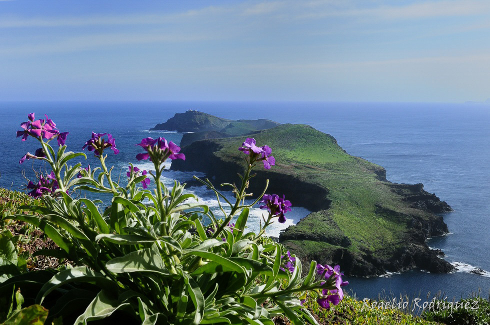 Madeira